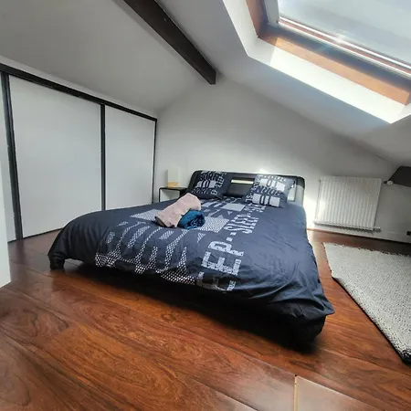 Grand Duplex Proche De Paris 公寓 Saint-Maur-des-Fossés