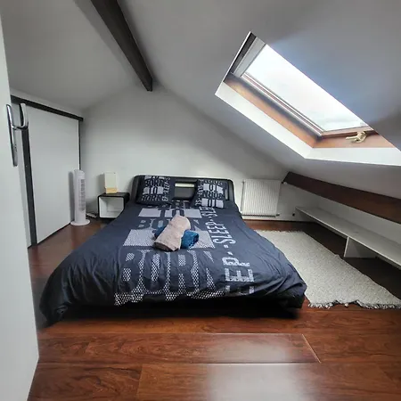 Grand Duplex Proche De Paris *
